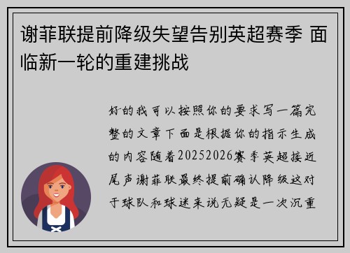 谢菲联提前降级失望告别英超赛季 面临新一轮的重建挑战